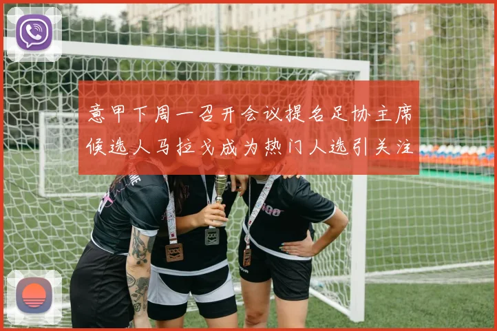 意甲下周一召开会议提名足协主席候选人马拉戈成为热门人选引关注